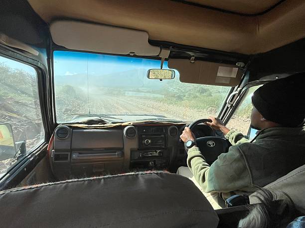   Self-Driving in Tanzania: Pros and Cons 2026–2027 